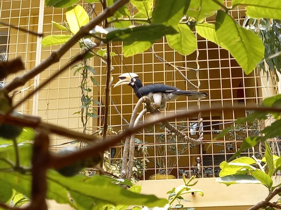 לינה וארוחת בוקר רישיקש Devi Music Ashram מראה חיצוני תמונה